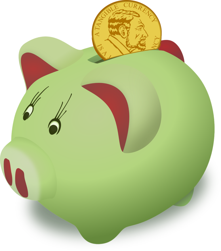 moneybox, pig, piggy-158346.jpg